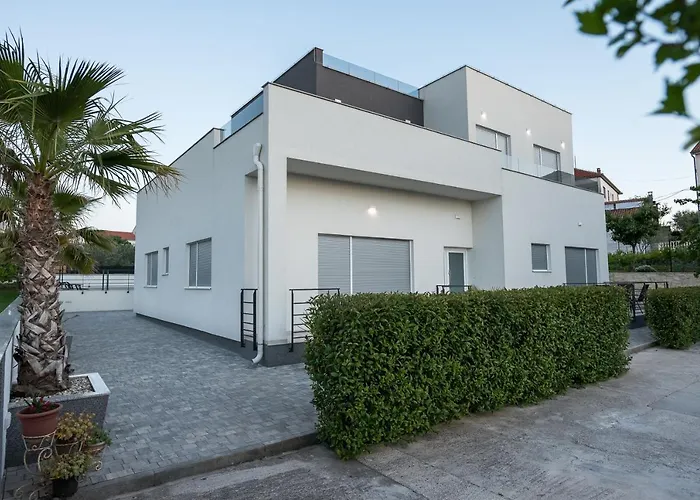 Luxury Golden Dreams